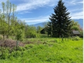 Photo numero 45338354 du bien UBI450531191
